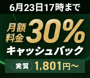 30%����å���Хå������ڡ���