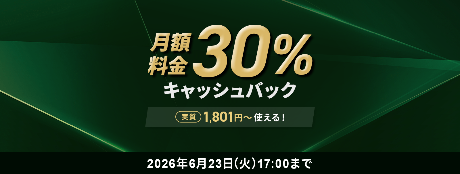 30%キャッシュバックキャンペーン！6/23(火)17:00まで